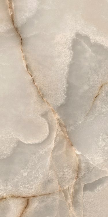 Reves Noisette Matte 12 x 24